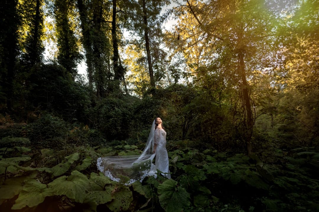 Personne en robe blanche et long voile dans une forêt, contre-jour doré.